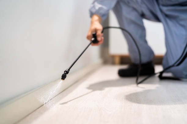 Bed Bug Pre-Treatment Preparation Assessment in Rosedale