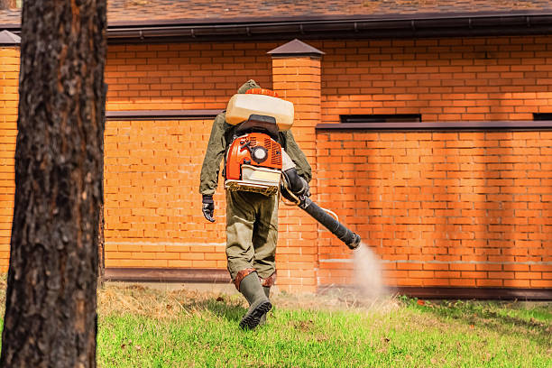 Bed Bug Clearance Verification and Documentation in Rosedale